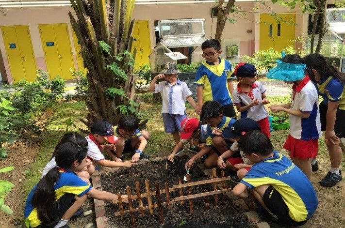 Gardening w Kindergartens.jpg