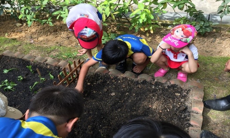 Gardening w Kindergartens_2.jpg